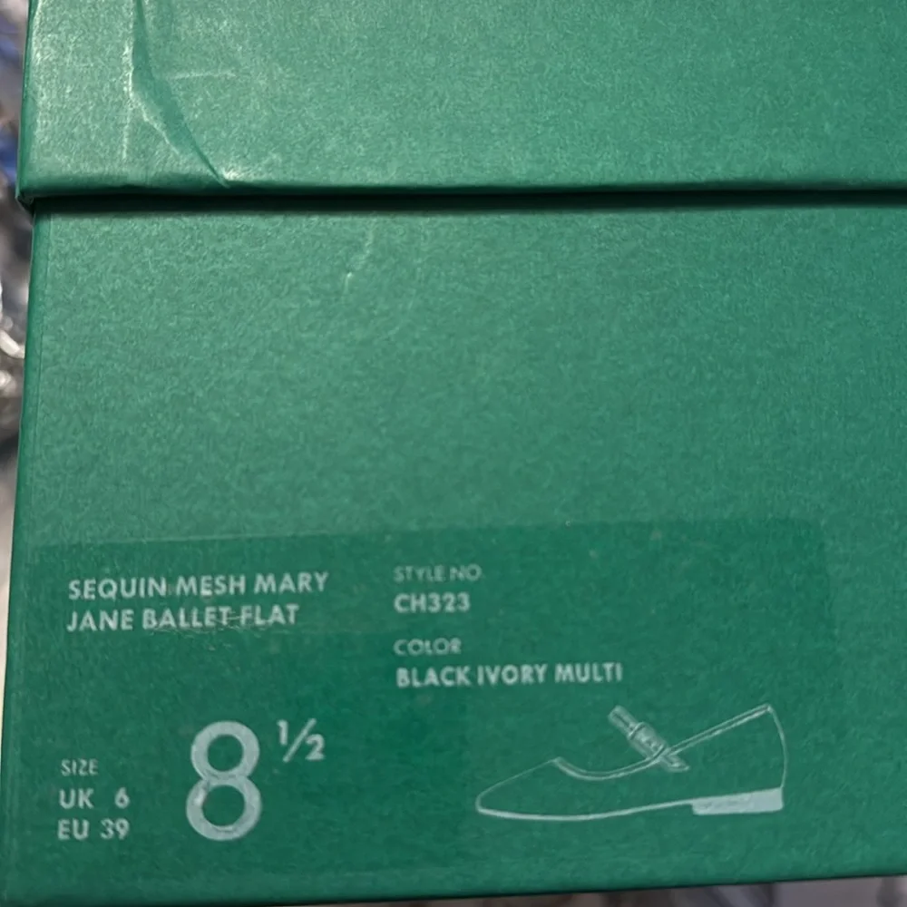 J.Crew Mesh Mary Jane ballet flats with sequins CH323